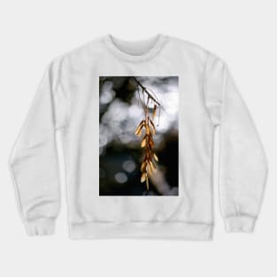 In the Silence of the Moment Crewneck Sweatshirt